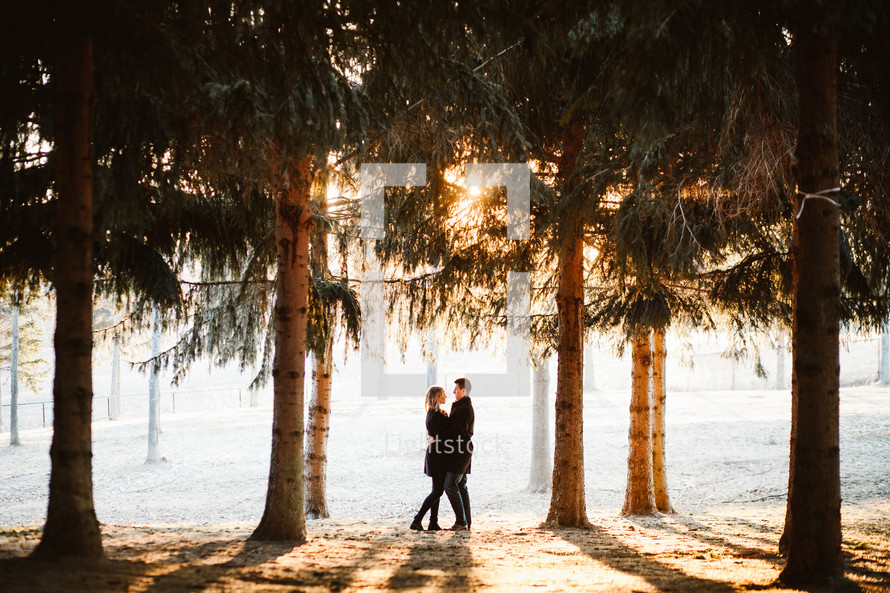 couple standing in the woods 