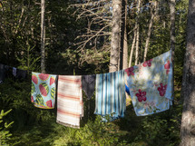 towels on a clothesline in a forest 