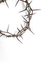 Crown of thorns on a white background 