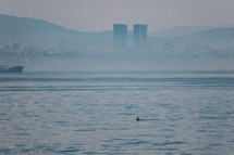 dolphin fin in the ocean and distant city through the fog 