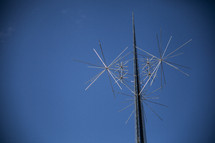 Antennae.