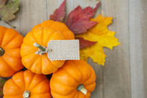 Autumn Thanksgiving Background with Blank Tag