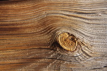Wood grain on a plank