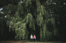 a couple standing under a tree holding hands 
