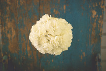 overhead over a bouquet of white carnations 