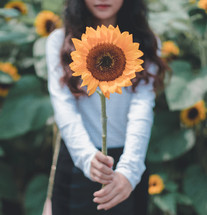 woman standing in a field of sunflowers 