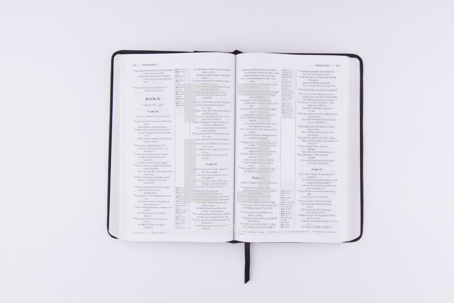 open Bible on a white background 