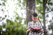 a boy in a forest reading a Bible 