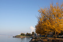 fall trees on a lake shore 