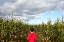 maze through a corn field 