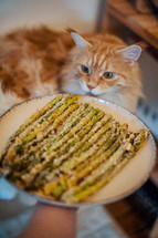 Roasted Asparagus in Triple-Coat with Curious Cat in Background