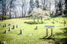 White Oaks Flats Cemetery 