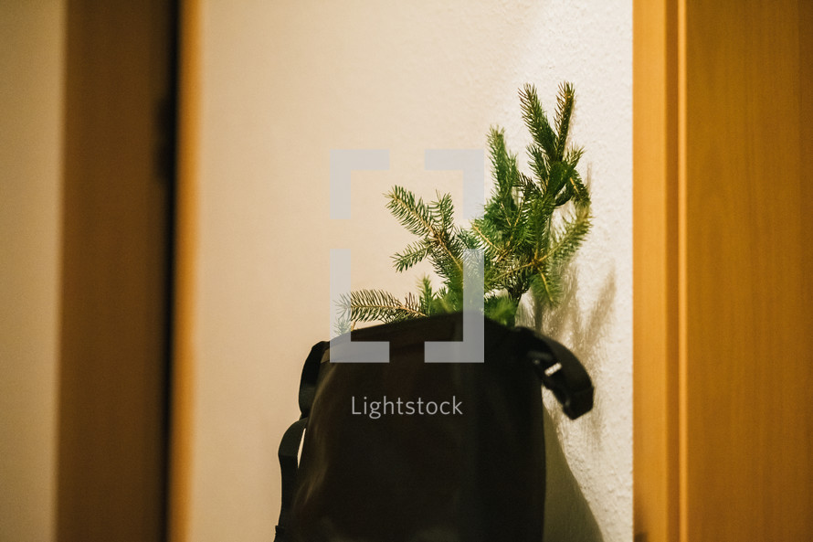 small Christmas tree in a bag 