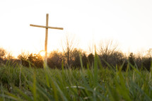a cross in spring field