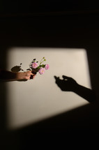 Man hand Offer Dog rose (Rosa canina) flower to a Woman Hand Shadow