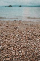 sand and shells on a beach 