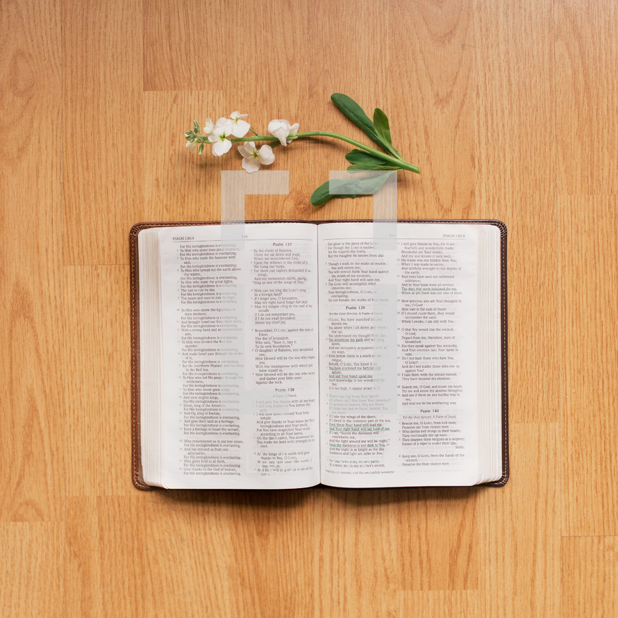 a flower and open Bible on a wooden table 