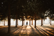 a couple standing under trees in a forest 