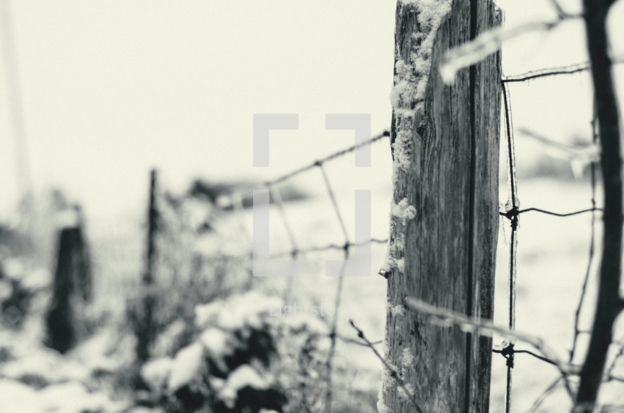 wire fence and snow 