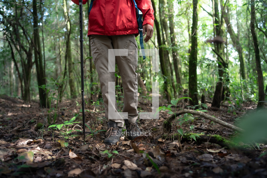 Hiker man with hiking equipment walking in forest