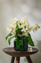 Beautiful Bouquet With Fresh Jasmine Flowers In Vase On Old Wooden Chair