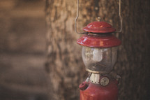 A red lantern in front of a tree