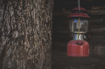 A red lantern hanging from a tree