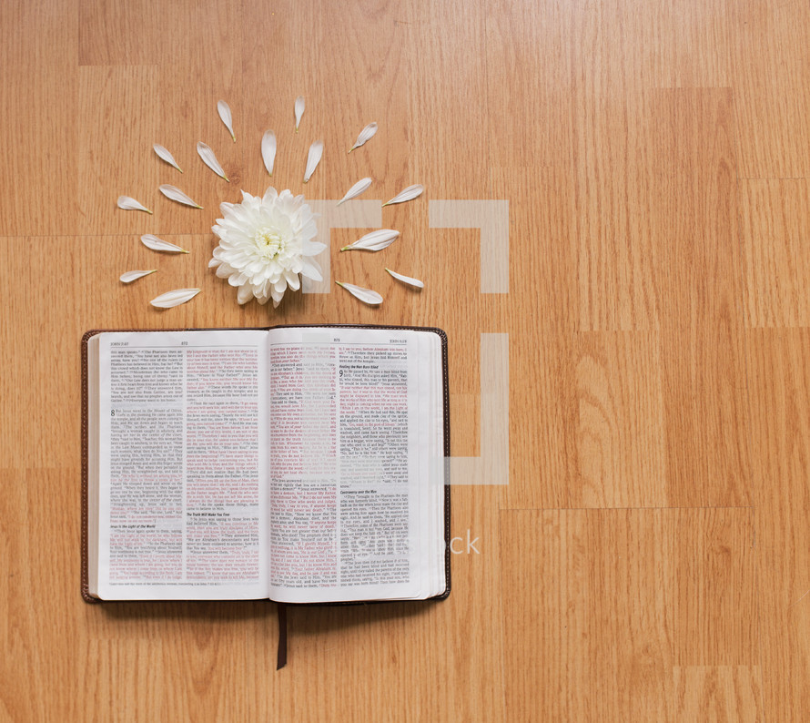 flowers and an open Bible 