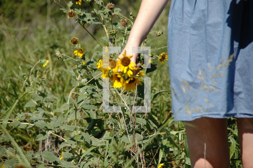 a woman picking flowers outdoors 