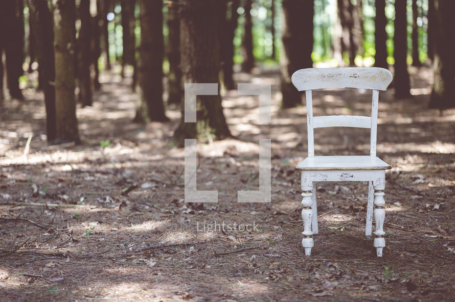 empty white chair in a forest 