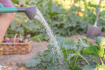 watering a garden 