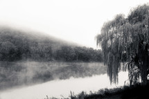 mist over a lake