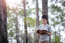 a child reading a Bible in a forest 
