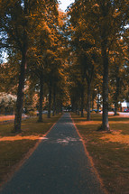 paved path lined with trees 
