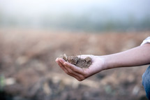 cupped hand with soil 