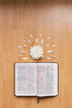 flowers and an open Bible on a wood table 