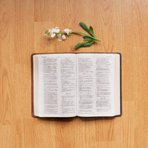 a flower and open Bible on a wooden table 