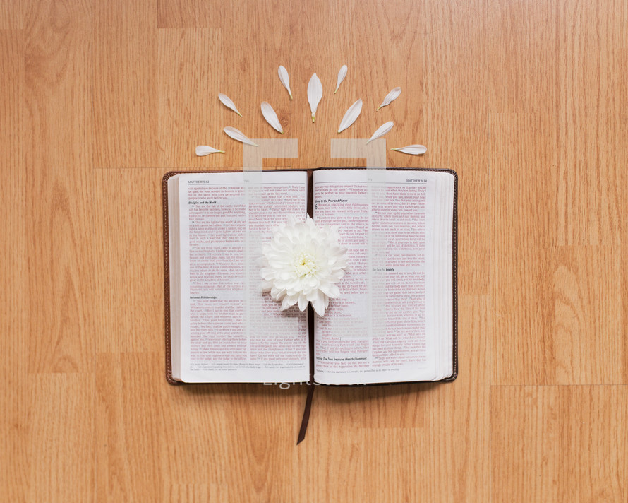 an open Bible and flowers