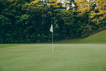 flag on a green on a golf course 