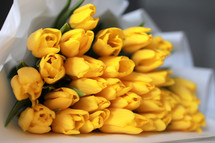 beautiful big bouquet of yellow tulips in a white package on white table and gray wall background close up. Congratulation. Festive background. copy space