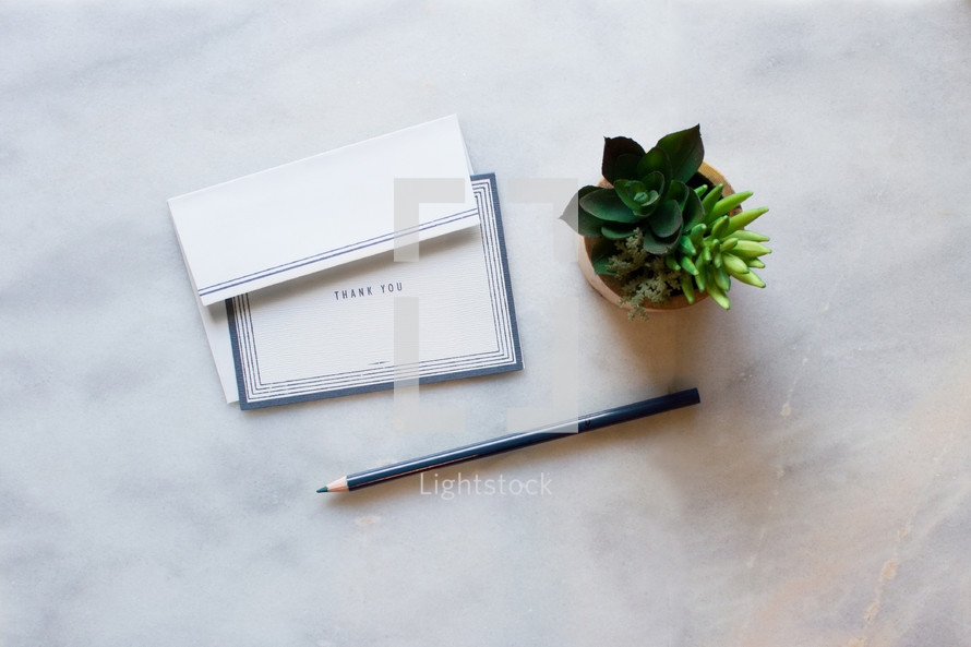 Stationary, thank you note, thank you card, and house plant on a white marble countertop