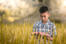 a boy reading a Bible in a rice field 