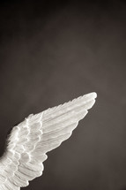 Wing of saint Michael archangel