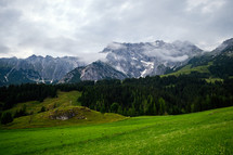 green meadow and mountain peaks 