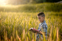 a boy standing in a rice field reading a Bible 