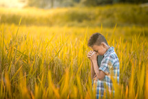 a boy praying in a rice field 