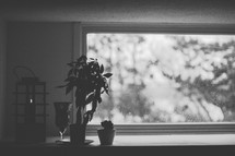 Rainy window with plants and candle on inside ledge.