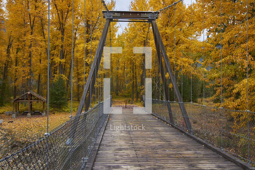 bridge over a river leading to a forest 