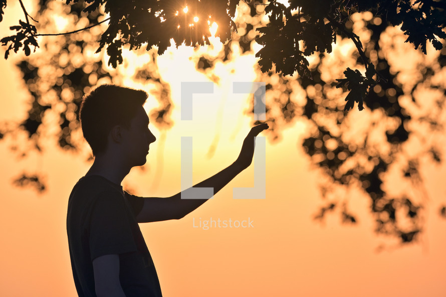 A man standing under a tree at sunset 