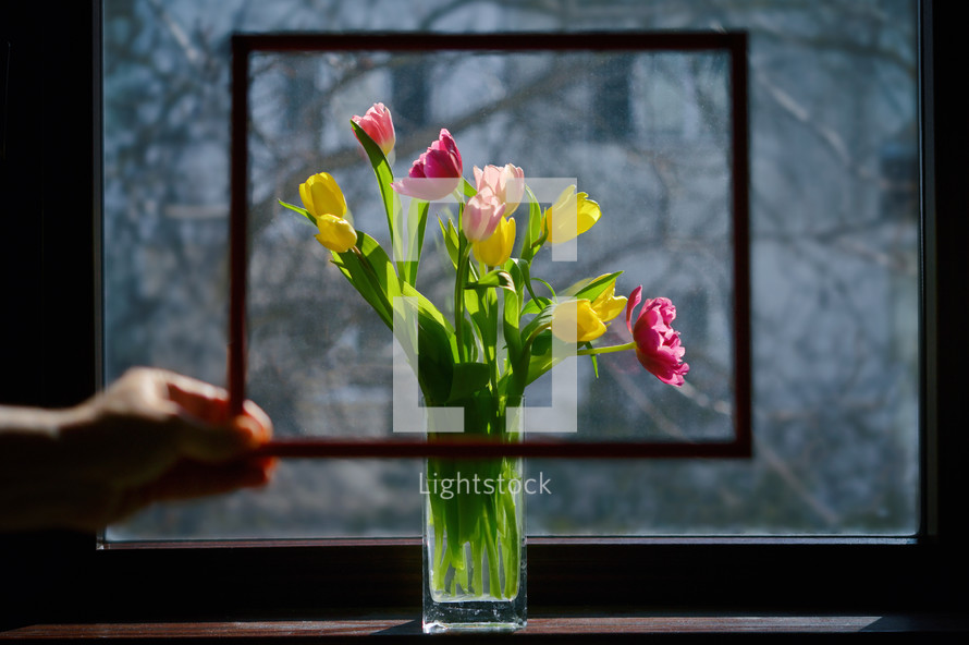Abstract Frame with Vase of Tulips at window